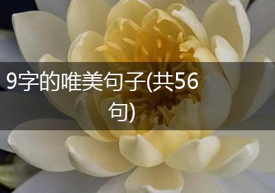 9字的唯美句子(共56句)