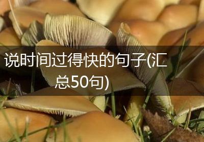 说时间过得快的句子(汇总50句)