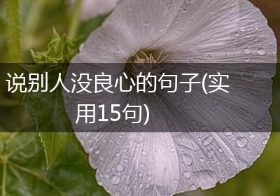 说别人没良心的句子(实用15句)