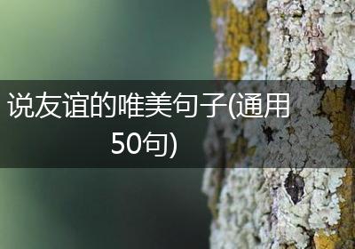 说友谊的唯美句子(通用50句)