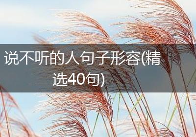 说不听的人句子形容(精选40句)