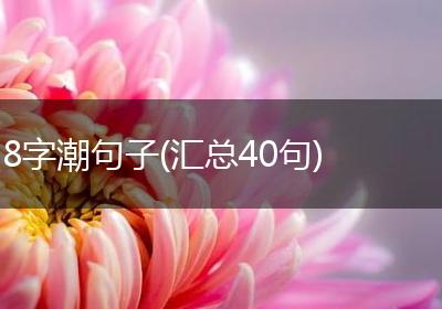 8字潮句子(汇总40句)