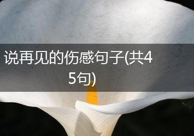 说再见的伤感句子(共45句)