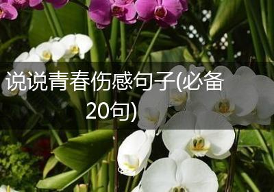 说说青春伤感句子(必备20句)