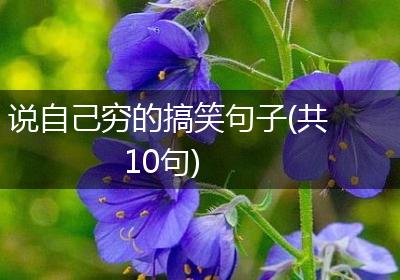 说自己穷的搞笑句子(共10句)