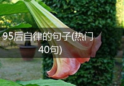 95后自律的句子(热门40句)