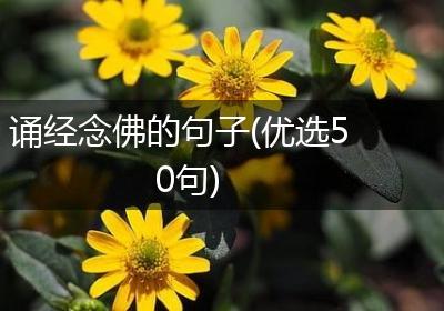 诵经念佛的句子(优选50句)