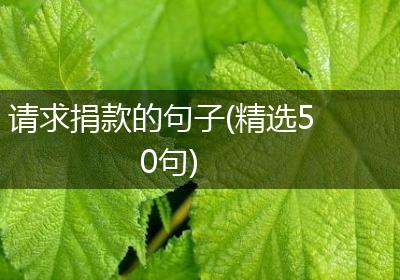 请求捐款的句子(精选50句)