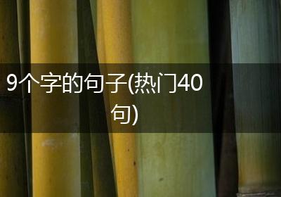 9个字的句子(热门40句)