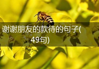 谢谢朋友的款待的句子(49句)