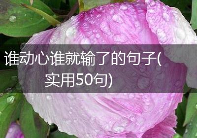 谁动心谁就输了的句子(实用50句)