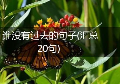 谁没有过去的句子(汇总20句)