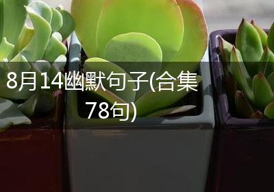 8月14幽默句子(合集78句)