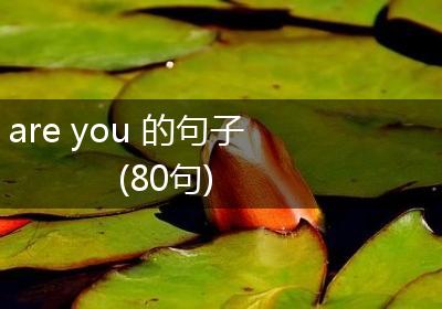 are you 的句子(80句)