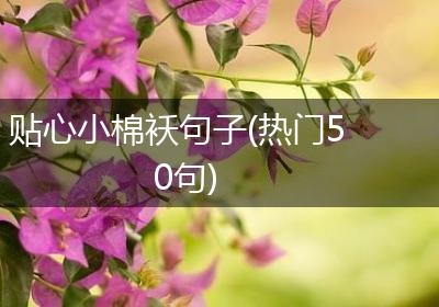 贴心小棉袄句子(热门50句)