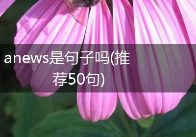 anews是句子吗(推荐50句)