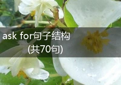 ask for句子结构(共70句)