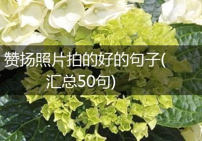 赞扬照片拍的好的句子(汇总50句)