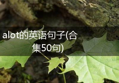 alot的英语句子(合集50句)