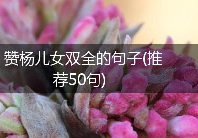 赞杨儿女双全的句子(推荐50句)