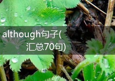 although句子(汇总70句)