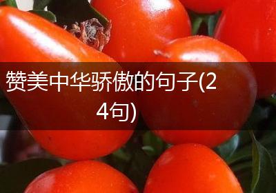 赞美中华骄傲的句子(24句)