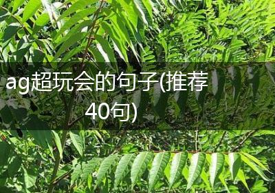 ag超玩会的句子(推荐40句)