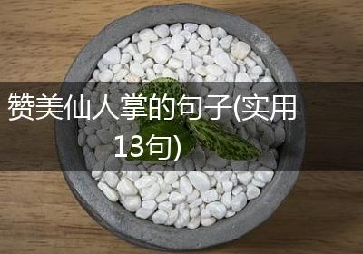 赞美仙人掌的句子(实用13句)