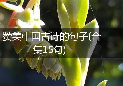 赞美中国古诗的句子(合集15句)
