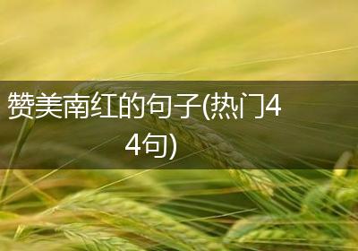 赞美南红的句子(热门44句)
