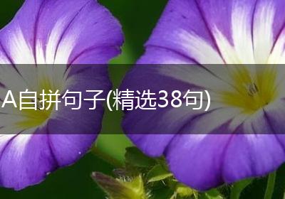 A自拼句子(精选38句)