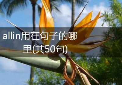 allin用在句子的哪里(共50句)