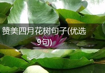 赞美四月花树句子(优选9句)