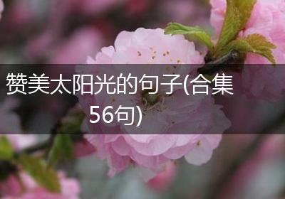 赞美太阳光的句子(合集56句)