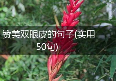赞美双眼皮的句子(实用50句)