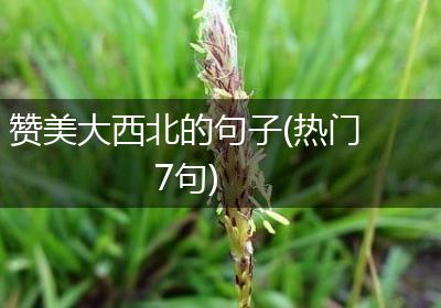 赞美大西北的句子(热门7句)