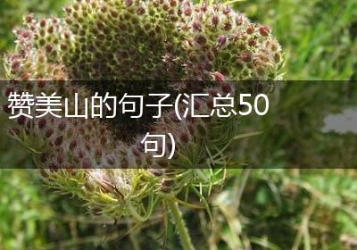 赞美山的句子(汇总50句)