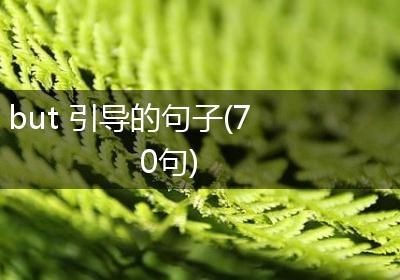 but 引导的句子(70句)