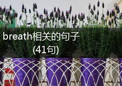 breath相关的句子(41句)