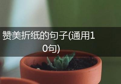 赞美折纸的句子(通用10句)