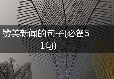 赞美新闻的句子(必备51句)