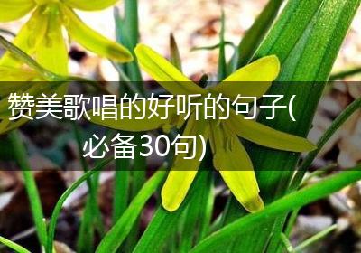 赞美歌唱的好听的句子(必备30句)