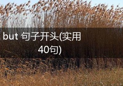 but 句子开头(实用40句)
