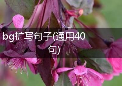bg扩写句子(通用40句)
