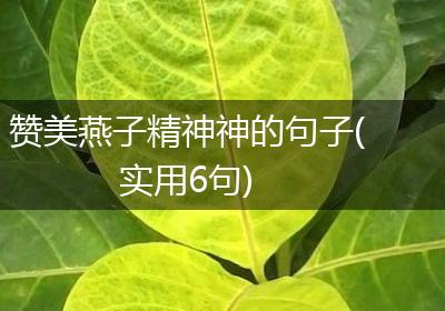 赞美燕子精神神的句子(实用6句)