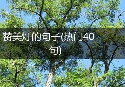 赞美灯的句子(热门40句)