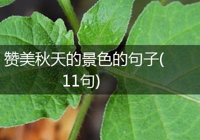 赞美秋天的景色的句子(11句)