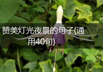 赞美灯光夜景的句子(通用40句)