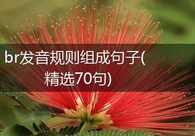 br发音规则组成句子(精选70句)