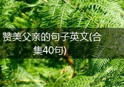 赞美父亲的句子英文(合集40句)
